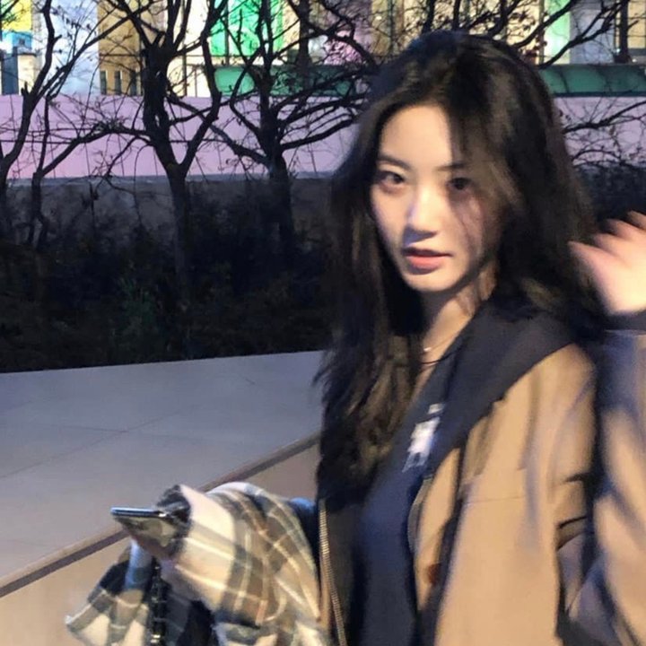 我的英雄学院：英雄崛起